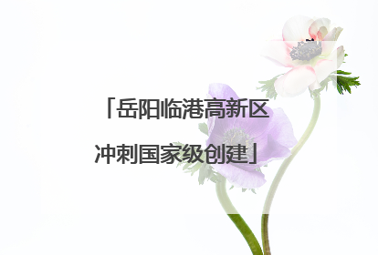 岳阳临港高新区冲刺国家级创建