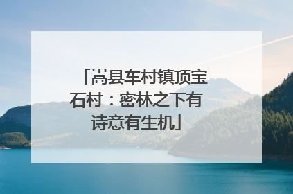 嵩县车村镇顶宝石村：密林之下有诗意有生机