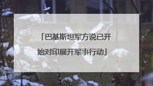 巴基斯坦军方说已开始对印展开军事行动