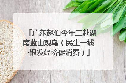 广东赵伯今年三赴湖南蓝山观鸟（民生一线·银发经济促消费）