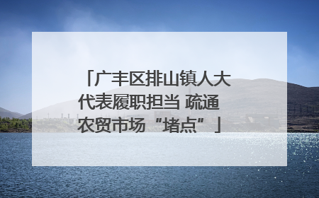 广丰区排山镇人大代表履职担当 疏通农贸市场“堵点”