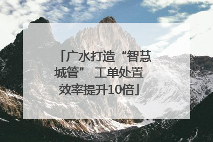 广水打造“智慧城管” 工单处置效率提升10倍