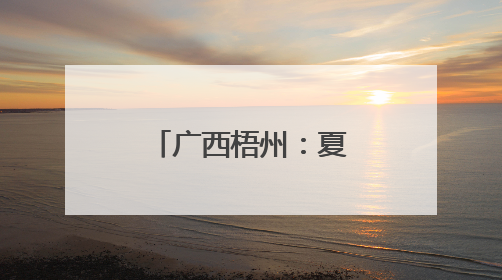 广西梧州：夏日赏荷正当时