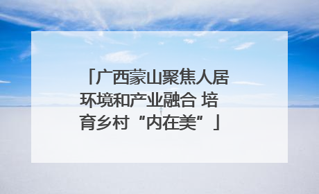 广西蒙山聚焦人居环境和产业融合 培育乡村“内在美”