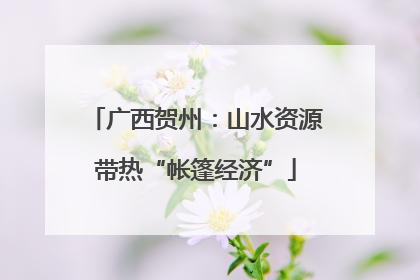 广西贺州：山水资源带热“帐篷经济”