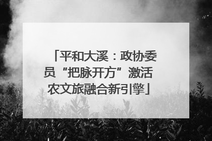 平和大溪：政协委员“把脉开方”激活农文旅融合新引擎
