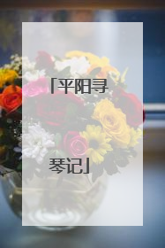 平阳寻琴记