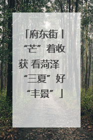 府东街丨“芒”着收获 看菏泽“三夏”好“丰景”
