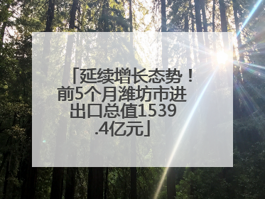 延续增长态势！前5个月潍坊市进出口总值1539.4亿元