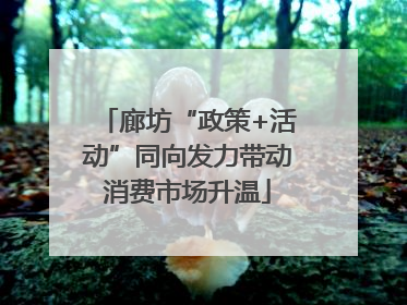 廊坊“政策+活动”同向发力带动消费市场升温