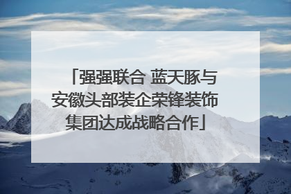 强强联合 蓝天豚与安徽头部装企荣锋装饰集团达成战略合作