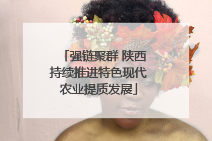 强链聚群 陕西持续推进特色现代农业提质发展