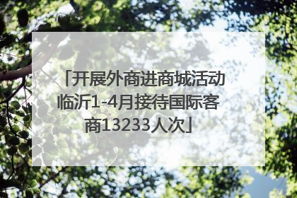 开展外商进商城活动 临沂1-4月接待国际客商13233人次