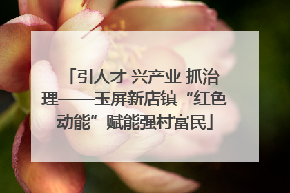 引人才 兴产业 抓治理——玉屏新店镇“红色动能”赋能强村富民