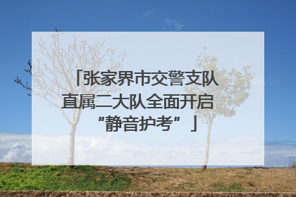 张家界市交警支队直属二大队全面开启“静音护考”