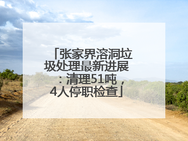 张家界溶洞垃圾处理最新进展：清理51吨，4人停职检查