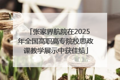 张家界航院在2025年全国高职高专院校思政课教学展示中获佳绩