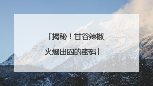 揭秘！甘谷辣椒火爆出圈的密码