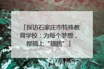 探访石家庄市特殊教育学校：为每个梦想，都插上“翅膀”