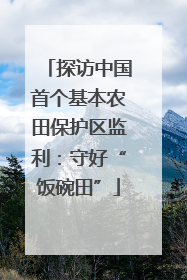 探访中国首个基本农田保护区监利：守好“饭碗田”