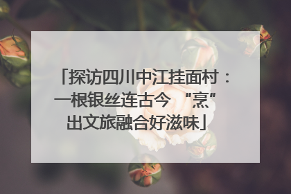 探访四川中江挂面村：一根银丝连古今 “烹”出文旅融合好滋味