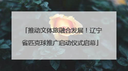 推动文体旅融合发展！辽宁省匹克球推广启动仪式启幕