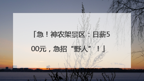 急！神农架景区：日薪500元，急招“野人”！