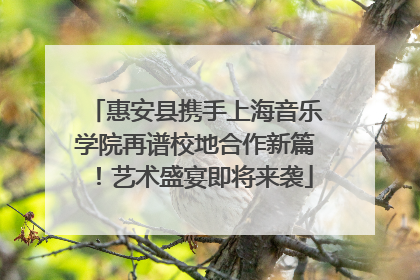 惠安县携手上海音乐学院再谱校地合作新篇！艺术盛宴即将来袭