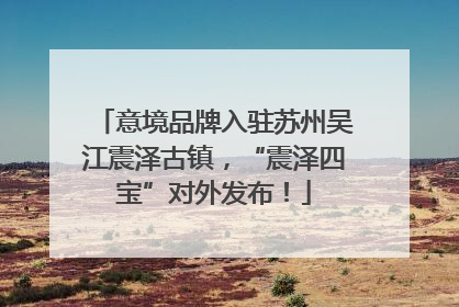 意境品牌入驻苏州吴江震泽古镇，“震泽四宝”对外发布！