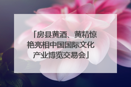 房县黄酒、黄精惊艳亮相中国国际文化产业博览交易会