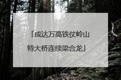 成达万高铁仗岭山特大桥连续梁合龙
