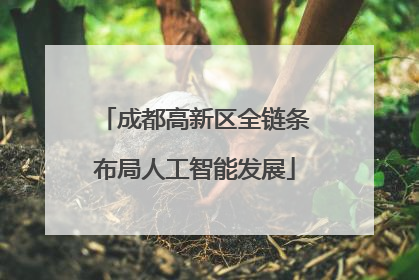 成都高新区全链条布局人工智能发展