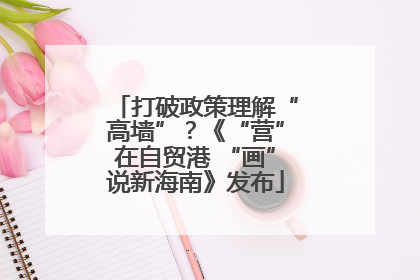 打破政策理解“高墙”？《“营”在自贸港 “画”说新海南》发布