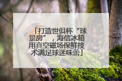 打造世俱杯“球景房”，海信冰箱用真空磁场保鲜技术满足球迷味蕾