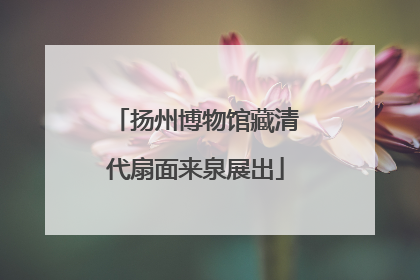 扬州博物馆藏清代扇面来泉展出
