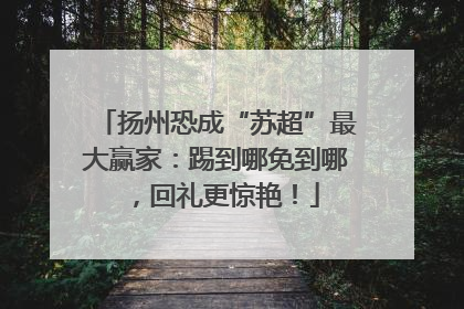 扬州恐成“苏超”最大赢家：踢到哪免到哪，回礼更惊艳！