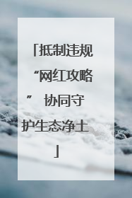 抵制违规“网红攻略” 协同守护生态净土