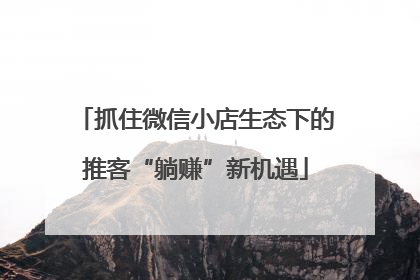 抓住微信小店生态下的推客“躺赚”新机遇