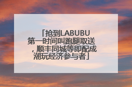 抢到LABUBU第一时间叫跑腿取送，顺丰同城等即配成潮玩经济参与者