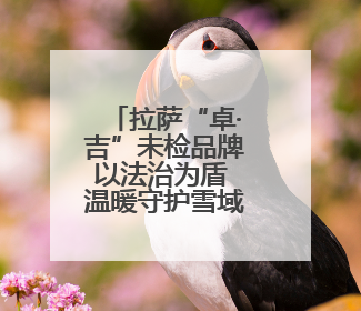 拉萨“卓·吉”未检品牌以法治为盾 温暖守护雪域青春成长路