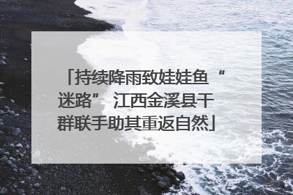 持续降雨致娃娃鱼“迷路” 江西金溪县干群联手助其重返自然