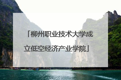 柳州职业技术大学成立低空经济产业学院