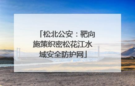 松北公安：靶向施策织密松花江水域安全防护网