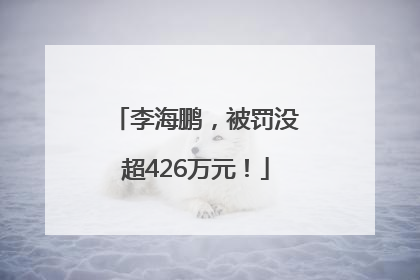 李海鹏，被罚没超426万元！