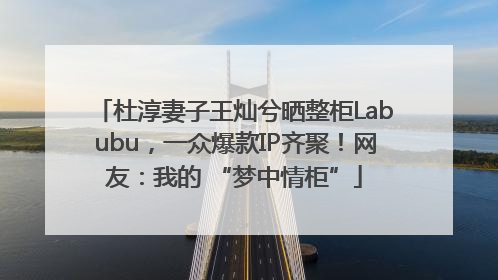 杜淳妻子王灿兮晒整柜Labubu，一众爆款IP齐聚！网友：我的 “梦中情柜”