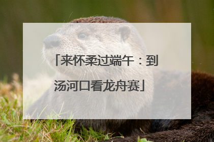 来怀柔过端午：到汤河口看龙舟赛