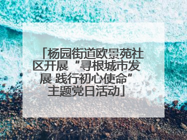 杨园街道欧景苑社区开展“寻根城市发展 践行初心使命”主题党日活动