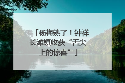 杨梅熟了！钟祥长滩镇收获“舌尖上的惊喜”