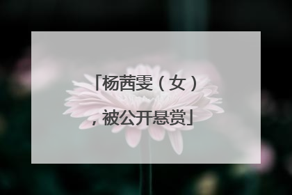 杨茜雯（女），被公开悬赏