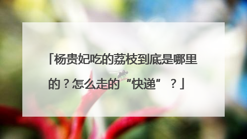 杨贵妃吃的荔枝到底是哪里的？怎么走的“快递”？